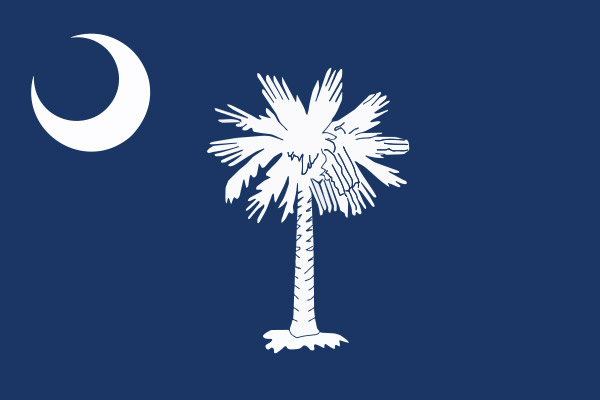 South Carolina state flag
